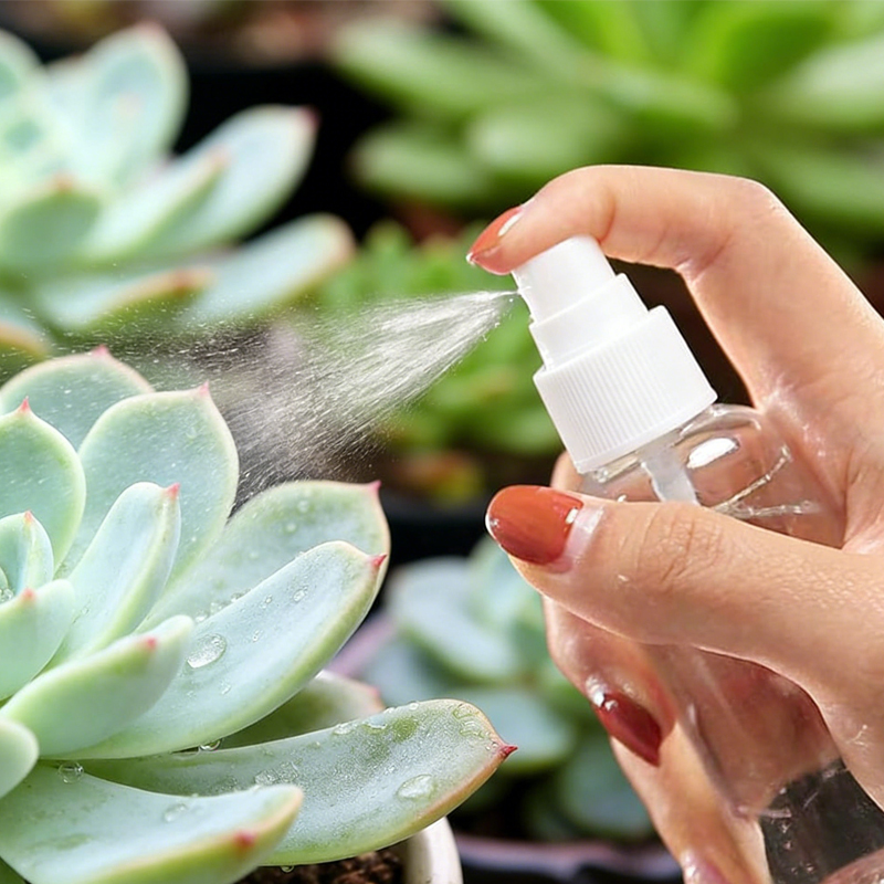 30 Uds. Botellas de spray de p - Perfume Fragrance World Aromatix X Xandal 100Ml Unisex reseña y precio