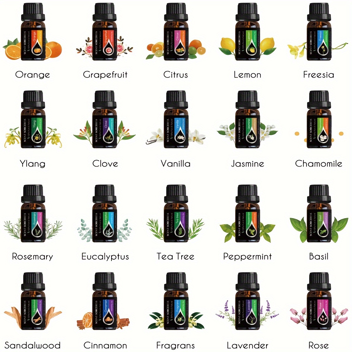 Juego de 20 Aceites Esenciales - Perfume Fragrance Oil reseña y precio